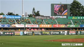 ▲台南球場近日風勢相當大。（圖／記者蕭保祥攝）