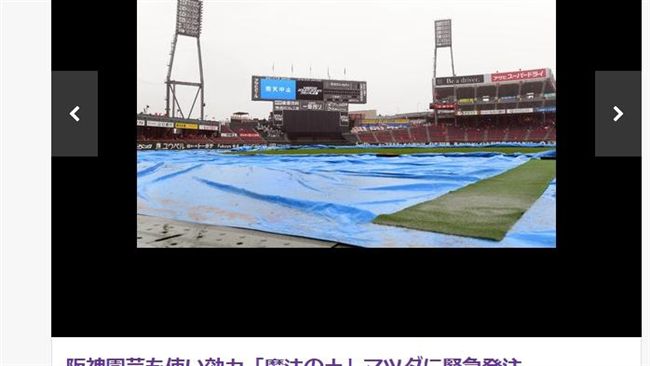 雨勢影響球場　廣島急調魔法之土因應