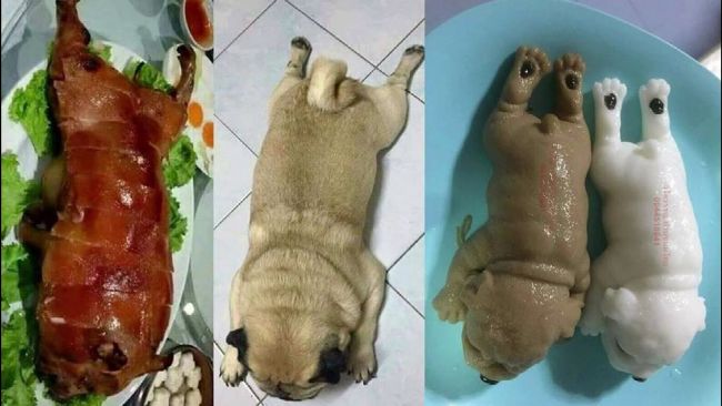 逼真「沙皮狗果凍」　小孩嚇到狂哭