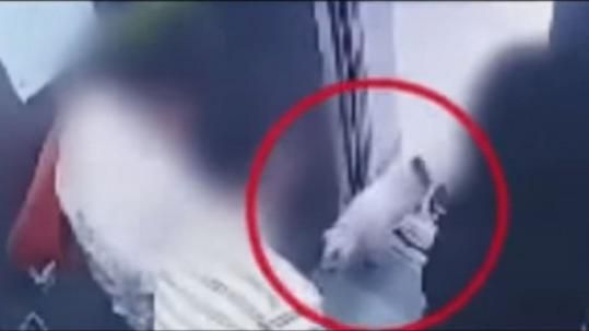 愛犬疑咬傷鄰居影片曝光　始源再遭批