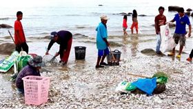 泰國,華欣,暴雨,漲潮,海灘,海鮮,汙染　圖／翻攝自泰國中文網