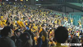 ▲中信兄弟主場球迷觀眾。（圖／記者王怡翔攝）