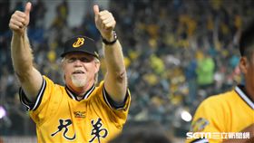 ▲中信兄弟總教練史耐德。（圖／記者王怡翔攝）