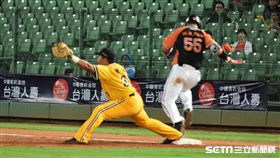 ▲中信兄弟陳江和。（圖／記者王怡翔攝）