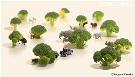 文青快來！微型展台灣最終站　寒假移師高雄、早鳥票開搶中