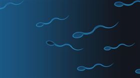 精子
https://www.flickr.com/photos/102642344@N02/10071492003/in/photolist-gkZ2FR-azLbRG-5L97rZ-qdRzcd-eXeHym-dhNYbu-UmwQ6J-pg2n3y-reof1N-Ww5Efs-9i4ZVx-bjUohx-a9eJb7-9y8adW-btacab-az4SG-xKhyG-Gw8EXf-34s9