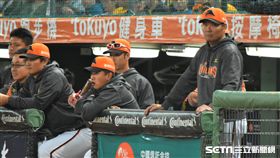 ▲統一獅總教練黃甘霖。（圖／記者王怡翔攝）