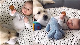 阿金常擔任狗保母的角色。（圖／翻攝自IG　jessdressler）