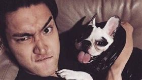 韓團「Super Junior」成員崔始源有養一支法國鬥牛犬Bugsy，不時會在IG上秀出與愛犬的親密照，感情相當要好。日前因沒繫狗繩讓溜出去，不慎咬死鄰居（圖／翻攝自微博）