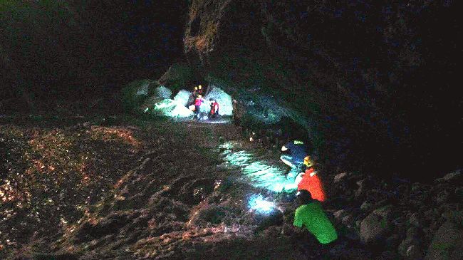 拆虎頭蜂窩護遊客　工人墜太魯閣身亡