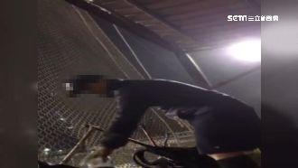 壘球球友團結抓賊　沒想到竟是內鬼