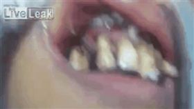 翻攝《LiveLeak》