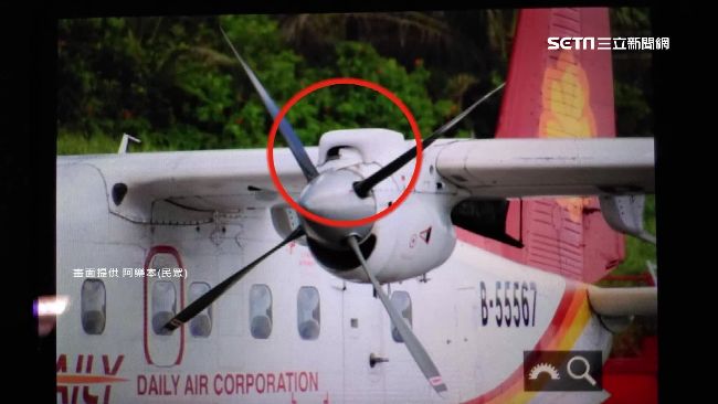 白鷺鷥撞進飛機引擎　乘客驚緊急下機