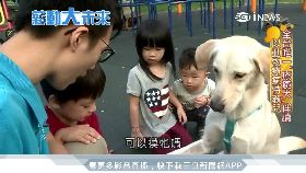文 療癒犬伴讀
