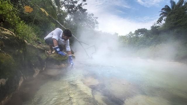 亞馬遜魔河高溫百度　動物跌入被煮熟