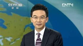 前央視主播、大陸名嘴郎永淳酒駕被逮。（翻攝自新浪娛樂）