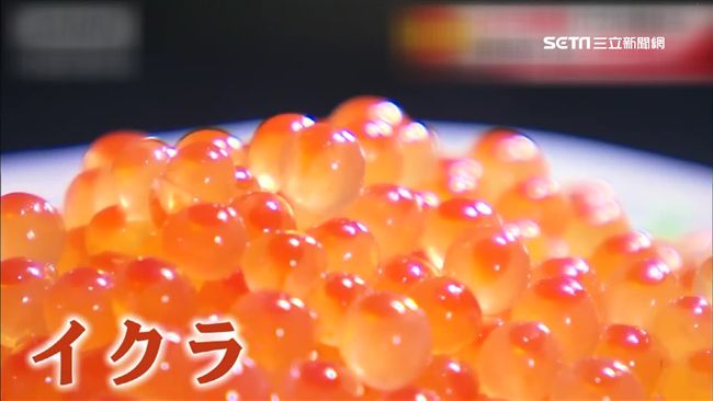 鮭魚卵飆天價！日本傳多起剖魚竊卵案