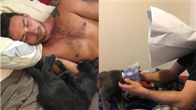 結紮,毛孩,貓咪,頸圈,Rengar　圖／翻攝自the Dodo