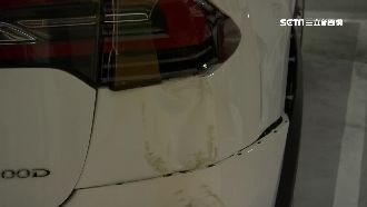 580萬特斯拉暴走　自動停車竟撞牆