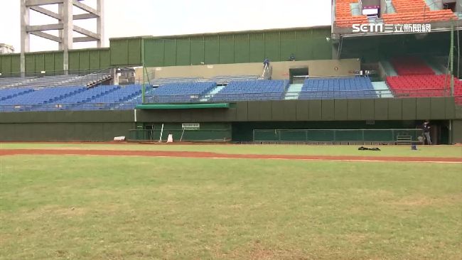 總冠軍賽「中信尬桃猿」　選位有撇步