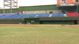 總冠軍賽「中信尬桃猿」　選位有撇步