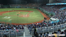 ▲桃園棒球場球迷。（圖／記者王怡翔攝）