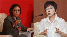 盧麗安、洪秀柱 圖／記者林敬旻攝影、中央社