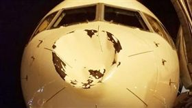 飛機,鳥,撞擊,意外(推特)