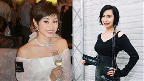 陳法蓉 朱茵 合成圖/翻攝自微博