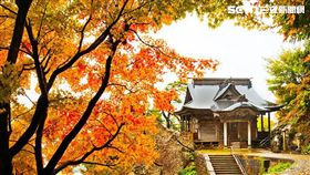 日圓跳水！先換匯再搶購　旅展攻日賞楓、泡湯、滑雪就對了
雄獅
燦星
易遊網