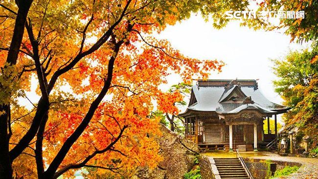 先換匯再搶購　旅展攻日本行程就對了