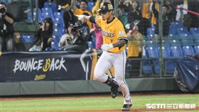 中信兄弟張志豪 圖／記者林敬旻攝