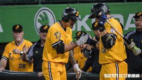 ▲中信兄弟在季後賽得點圈打擊率驚人。（圖／記者林敬旻攝）