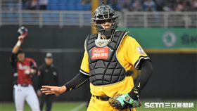 中信兄弟捕手林明杰。（資料照／記者王怡翔攝）