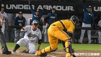 洪總還是「泓總」　都盛讚嚴宏鈞