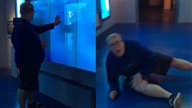 影／不聽話啊！「後果自負」硬要摸　鯊魚怒撞玻璃嚇尿白目
圖／翻攝自Casey Peck YouTube
https://www.youtube.com/watch?v=uzIaOHZeTDU