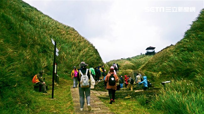 蓬蓬秋芒銀花海　秋高氣爽登古道