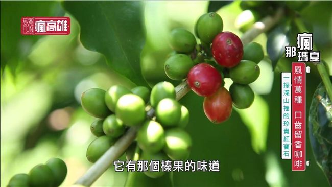 領航幸福　愜意遊高雄