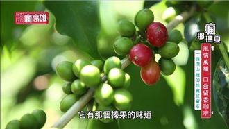 領航幸福 愜意遊高雄