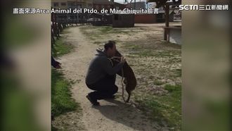 走失犬等待2年　與飼主感人重逢