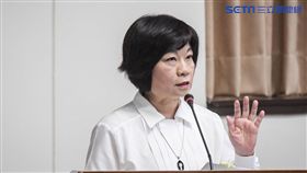 國發會主委陳美伶，經濟委員會 圖／記者林敬旻攝