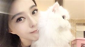 ▲女星范冰冰。（圖／翻攝自微博）