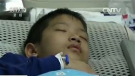 10歲男童患腦瘤　死前哀求捐大體「爸爸你得簽字啊！」
圖翻攝自中新網
http://www.chinanews.com/sh/2017/10-31/8364265.shtml