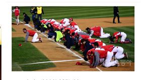 ▲KIA虎奪冠後全隊下跪感謝球迷。（資料照／截自韓國媒體）