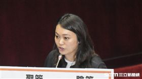 親民黨立法委員陳怡潔 圖／記者林敬旻攝