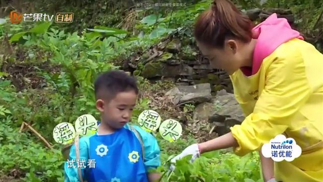 小小春太番不幹活　應采兒虎媽樣現形