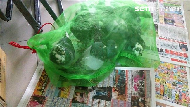 帳戶賣擄鴿集團　他因恐嚇取財罪判刑