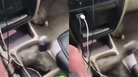 汽車,排檔桿,打檔,爆廢公社,姐夫　圖／翻攝自爆廢公社
