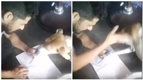 毛小孩,狗,虐待,掌摑 (圖／翻攝自YouTube)
