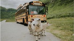 校車,遊覽車,改裝,歐洲,旅行,Nomads Bus　圖／翻攝自boredpanda